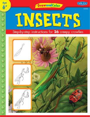 Image for Learn to Draw Insects