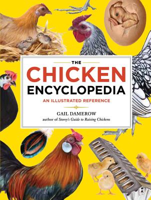 Image for The Chicken Encyclopedia: An Illustrated Reference
