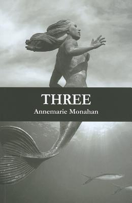Three (Flashpoint Press)
