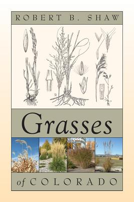 Grasses of Colorado Image for Grasses of Colorado