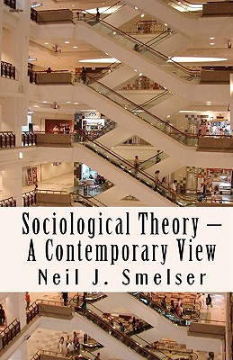 Sociological Theory A Contemporary View: How to Read, Criticize and Do Theory (Classics of the Social Sciences)