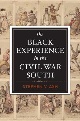 Image for The Black Experience in the Civil War South