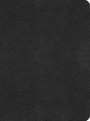 Image for The MessageREMIX: The Bible in Contemporary Language