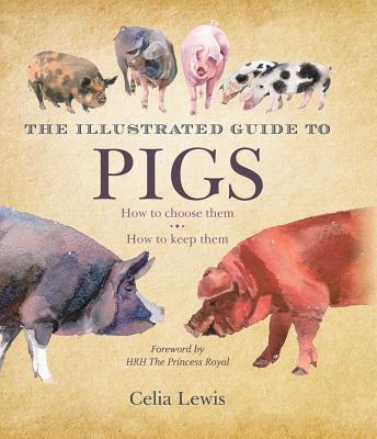 The Illustrated Guide To Pigs How To Choose Them How To Keep Them