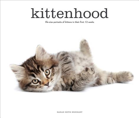 Image for KITTENHOOD LIFE-SIZE PORTRAITS OF KITTENS IN THIER FIRST 12 WEEKS OF LIFE