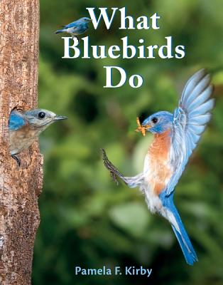 What Bluebirds Do
