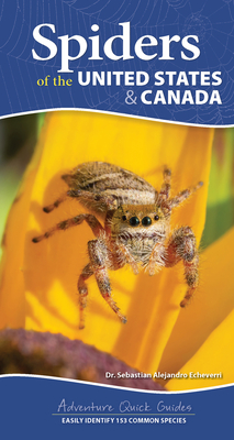 SPIDERS OF THE UNITED STATES & CANADA: EASILY IDENTIFY 153 COMMON SPECIES