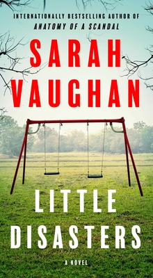 Little Disasters: A Novel