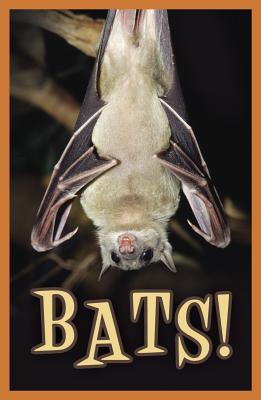 Image for Bats! (Pack of 25) (Proclaiming the Gospel)
