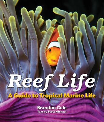 Reef Life: A Guide to Tropical Marine Life