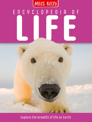 Image for Encyclopedia Of Life Encyclopedia Of Life