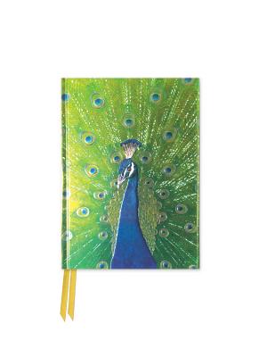 Peacock in Blue and Green (Foiled Pocket Journal) (Flame Tree Pocket Books)