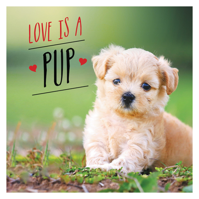 Image for LOVE IS A PUP