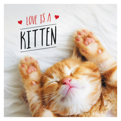 Image for LOVE IS A KITTEN