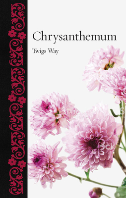 Chrysanthemum (Botanical)