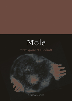 Mole (Animal)