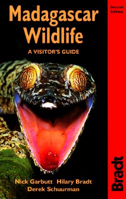 Image for Madagascar Wildlife A Visitor s Guide