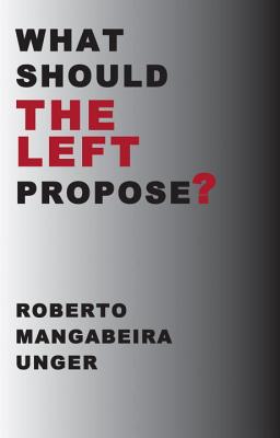 What Should the Left Propose