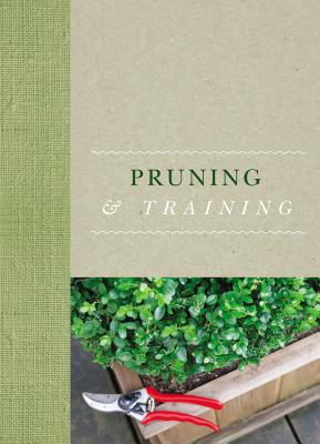 Pruning & Training