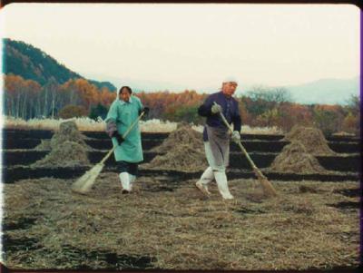 An Aside: Works Selected By Tacita Dean