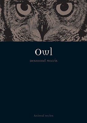 Owl (Animal)