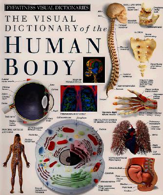 Eyewitness Visual Dictionaries: The Visual Dictionary of the Human Body (DK Visual Dictionaries)