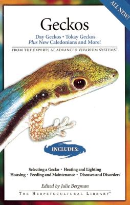 Geckos: Day Geckos, Tokay Geckos Plus New Caledonians and More!