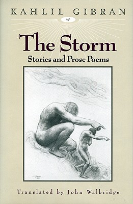 Image for The Storm The Storm
