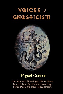 Image for Voices of Gnosticism: Interviews with Elaine Pagels, Marvin Meyer, Bart Ehrman, Bruce Chilton and Other Leading Scholars