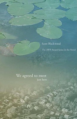 We Agreed to Meet Just Here (Awp Award for the Novel)