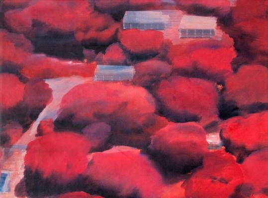 Photographs/Paintings