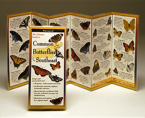 Common Butterflies of the Southeast: Folding Guide (Foldingguides) Image for Common Butterflies of the Southeast: Folding Guide (Foldingguides)