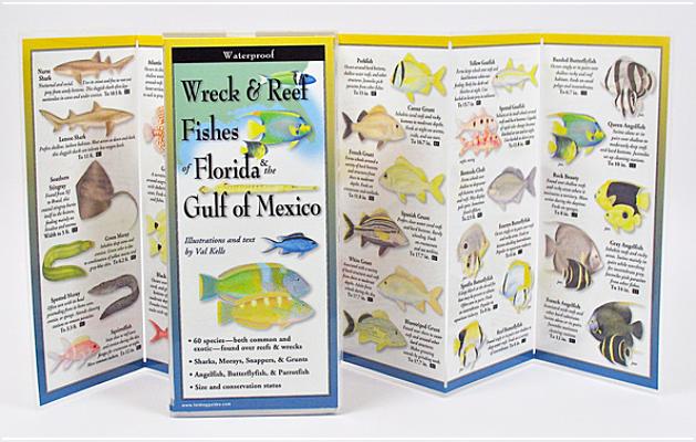Wreck & Reef Fishes of Florida & Gulf of Mexico (Foldingguides)