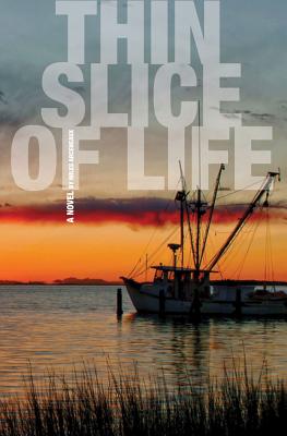 Image for Thin Slice of Life Thin Slice of Life