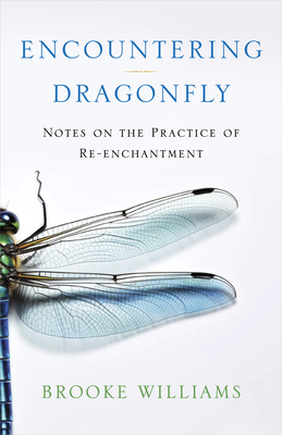 Encountering Dragonfly: Notes on the Practice of Re-enchantment