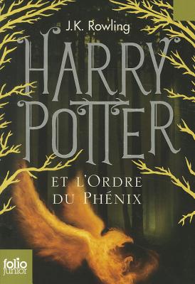 Harry Potter Et La Chambre Des Secrets (Folio Junior) (French Edition)