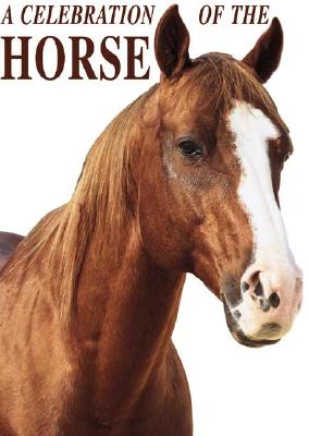 Image for A Celebration of the Horse A Celebration of the Horse