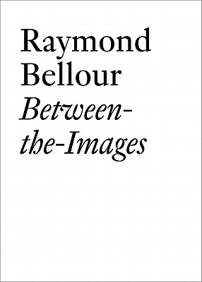 Between the Images (Documents (JRP/Ringier))