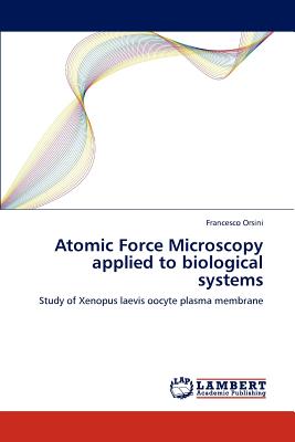 Atomic Force Microscopy applied to biological systems: Study of Xenopus laevis oocyte plasma membrane