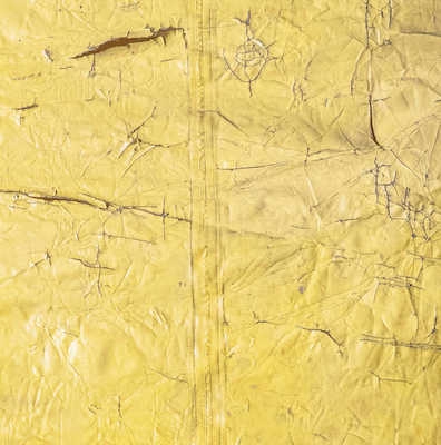 Image for David Hammons David Hammons