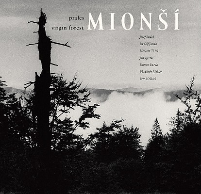 Virgin Forest Mion