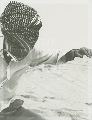 Coralie Vogelaar: The Photoshop