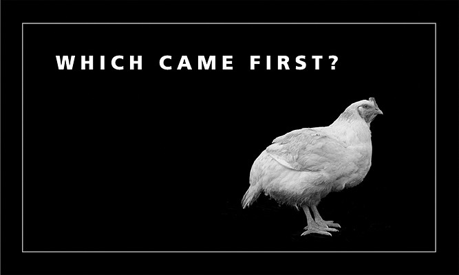 Which Came First: Flip Book