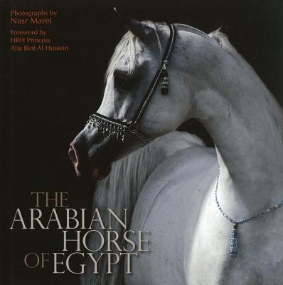The Arabian Horse of Egypt