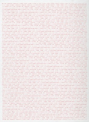 Wei Jia: 2004-2008